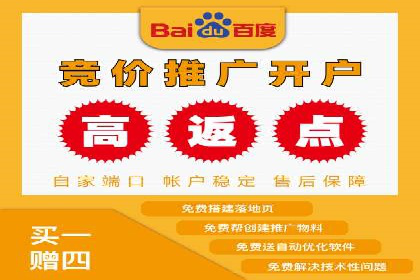 竞价推广代运营：成功案例解析